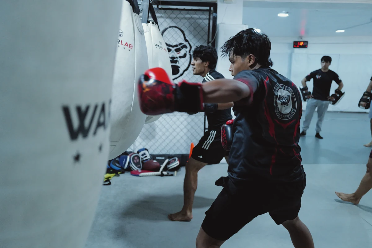 Athletes training together on punching bags at a combat-sports club