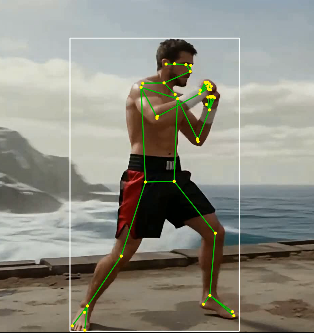 Pose skeleton analysis